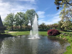 Double Tree Pond Fountain
